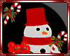 *SB* Christmas Snowman