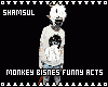Monkey Bisnes Funny Acts
