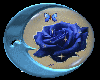 blue moon with rose