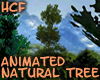 HCF Animated Tree #1