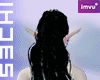 NHC -Uri Wang Mint F V