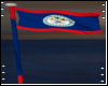 Belizean Flag furniture
