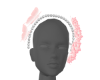 桃枝夭夭acc