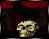 Creepy Raven + Skull