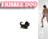 P!NK | Frisbee Doggy