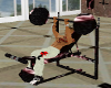 animated Weight Bench