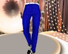 winter blue pants