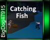 [BD]CatchingFish