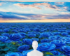 Blue rose field bg