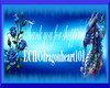 Echo Banner