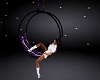 purple roses swing