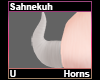 Sahnekuh Horns