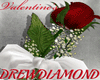 Dd-Valentine's Day  Rose