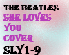 the beatles-she loves y