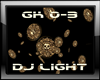 DJ LIGHT Gold Coins
