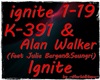 MH~K-391/Walker-Ignite
