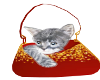 Daphne Red Kitty Purse