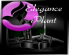 *PK*Elegance Plant