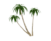 Paradise Palms 3
