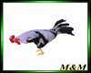 M&T-ROOSTER