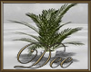 Palm Plant