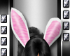 {5STR} White Bunny Ears