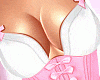Easter Bunny Set V2