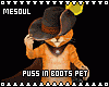 Cute Puss In Boots Pet