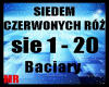 SIEDEM CZERWONYCH RÓŻ