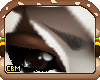 CBM Zeb Brows