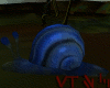 Felucia Blue Snail