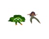{LS} dancing Shamrock