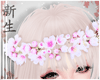 ☽ Flowers Crown V2