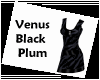 (IZ) Venus Black Plum