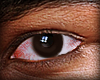 Male Brown Eyes (RENG)