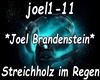 Joel Brandenstein