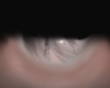 Eye olho 2t