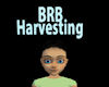 *T Brb Harvesting Sign2
