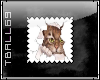 Kitty Peeking Stamp