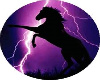 purple pony