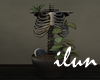Witch Plants Skeleton