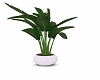 KML~Lux Plant v1
