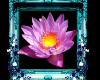 Teal Lotus Picture