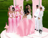Pink Wedding Photo
