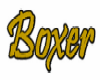 Boxer1