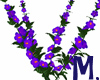 M. purple hibiscus