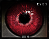 ᴜʀɴ]Bathory.Eyes