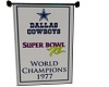 Dallas Cowboy Champs 5