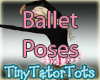 Ballet Ballerina Poses