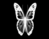 JS | Butterfly BW TT